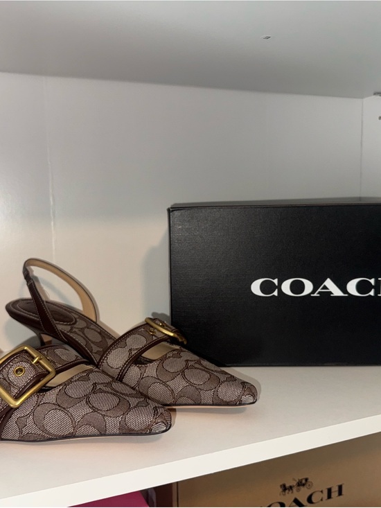 Coach Shoes - Coach Brown Logo Pointed Slingback Flats with Gold Buckle